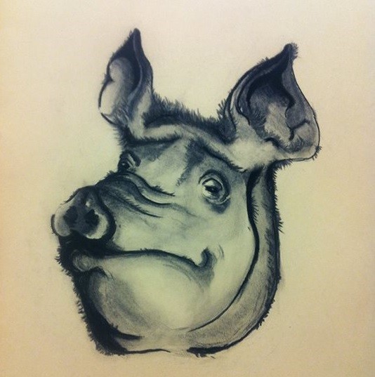 Pig by Roger