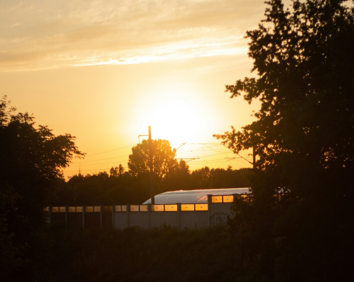 RESEARCH: Self-driving cars can reduce dangers of sun glare on highways