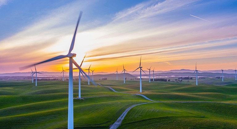 A new Concordia project is aggregating environmental knowledge for stakeholders around the world