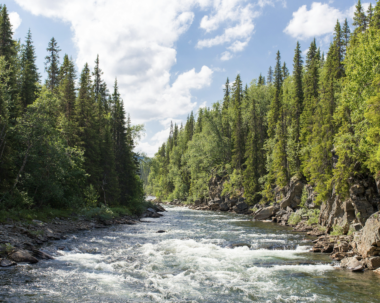 How to lead in a water-conscious future