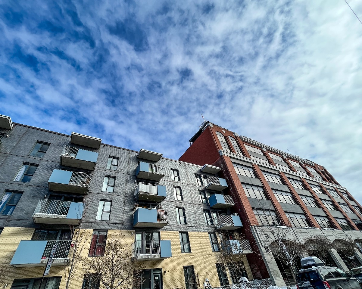 Do Canadians really drive up rents? New evidence from Canada’s rental market