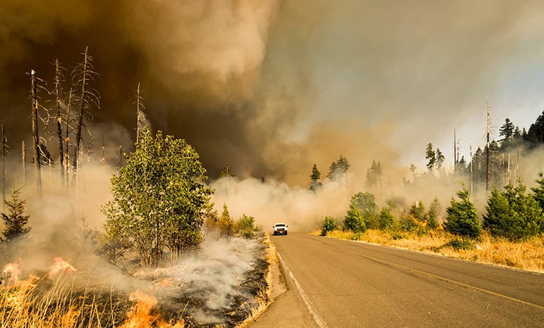 Climate Change Forest Fires