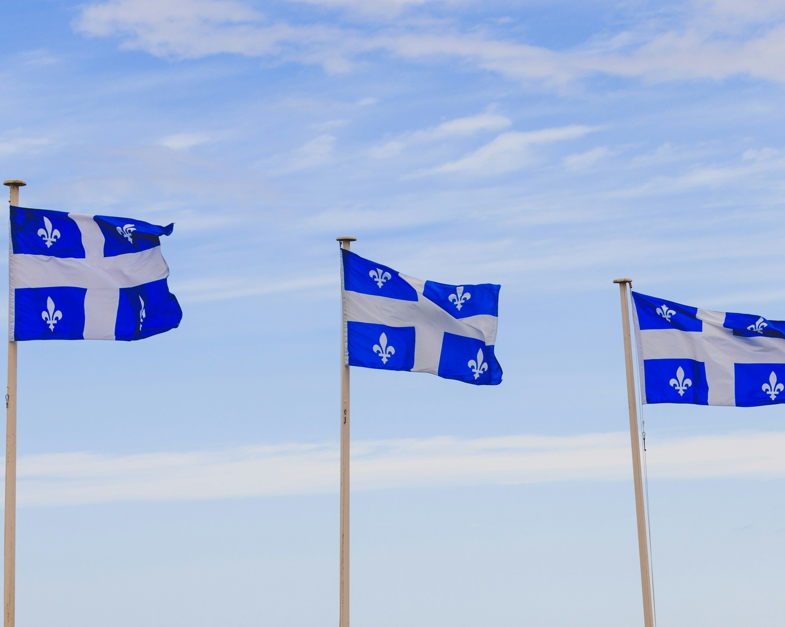 ‘Dream Interrupted’: A Referendum Within a Rollercoaster Ride