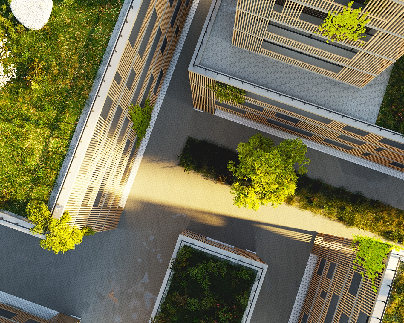 Climate change is making cities hotter. Here’s how planting trees can help