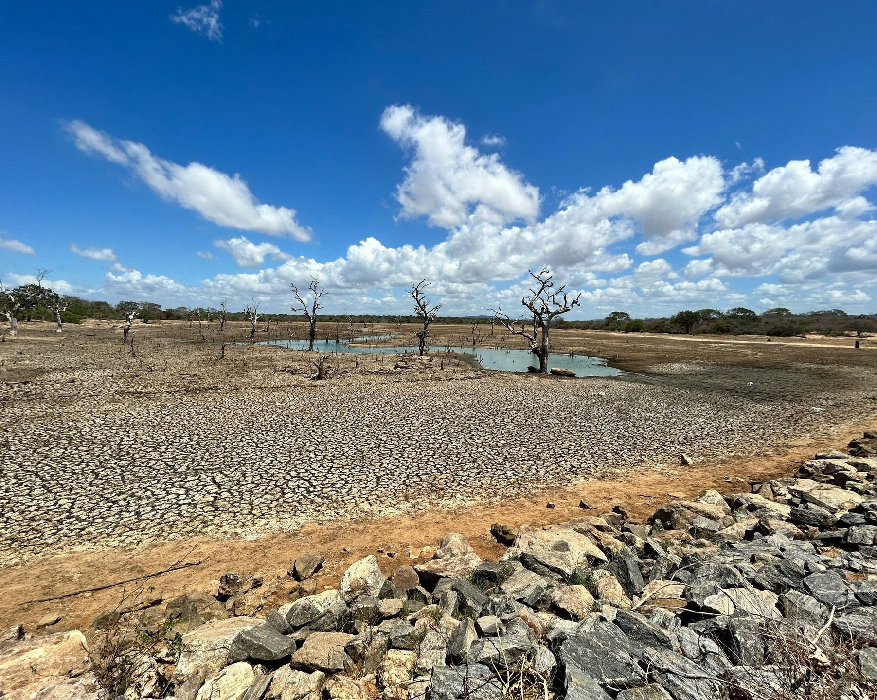 Droughts don’t just dry up water — they drain livelihoods and weaken local economies