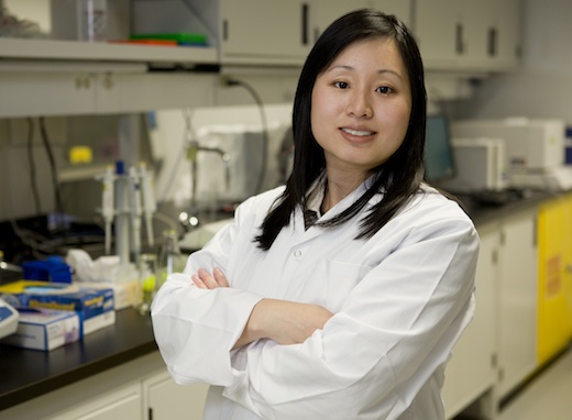 Sylvia Santosa holds a Tier 2 Canada Research Chair in Clinical Nutrition