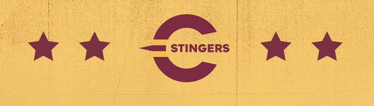 stingers-rebrand-banner