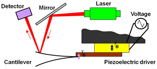 This schematic illustrates Ramin Motamedi’s modifications to an atomic force microscope to use it for measuring the properties of liquids. By controlling an electric current he was able to cause the piezoelectric driver (the yellow block) to vibrate, in turn moving the cantilever on the left. Those movements, however minute are recorded by the detector measuring the laser beam’s reaction to the motions. When the cantilever is submerged in liquid, the variations on those movements can then be measured.