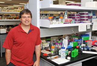 PhytoMetaSyn co-leader Vincent Martin, a professor in the Department of Biology and Canada Research Chair in Microbial Genomics and Engineering.