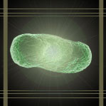 A biotube facilitates the measurement of emissions from genetically modified organisms (particularly E. coli), after they have been stimulated with other elements. | Image courtesy of Nawwaf Kharma