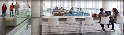 Looking for an undergraduate research gig?
