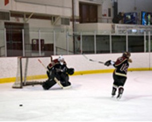 Ed Meagher Arena goes eco-friendly