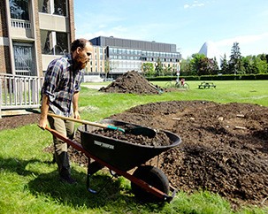 Farming in an urban setting