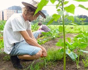 City Farm School yields fresh approach to marketing