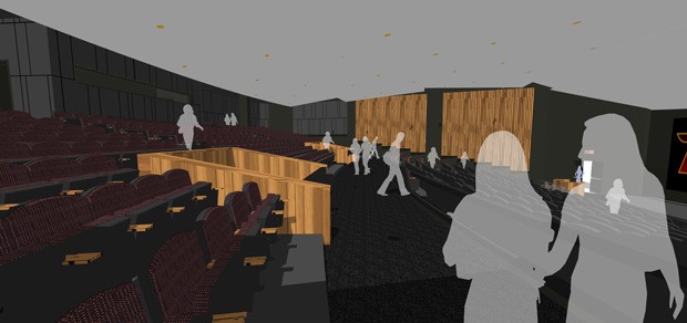 Cinemas to meet film festival standards