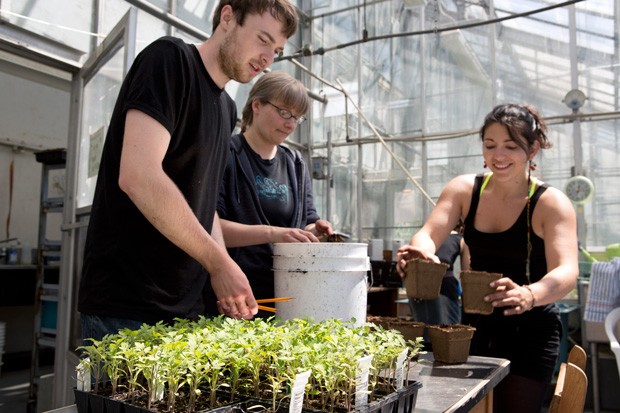 Knowing about sustainability will give students a leg up in the job market, Peter Stoett says. Knowing about sustainability will give students a leg up in the job market, Peter Stoett says.