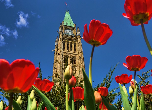 The Peace Tower, Canadian Parliament Building. Photo by beyondhue (flickr creative commons) The Peace Tower, Canadian Parliament Building. Photo by beyondhue (flickr creative commons)