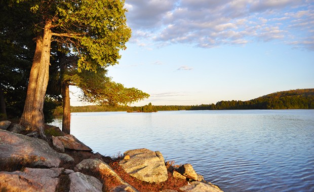 Algonquin Provincial Park is a fisherman’s paradise of lakes stocked generations ago with hatchery salmon and trout