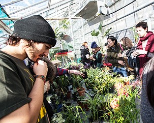 Quickest sale ever at the greenhouse