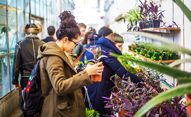 The Concordia Greenhouse is just one of the organizations that will be coming to this year's Engagement Fair. The Concordia Greenhouse is just one of the organizations that will be coming to this year's Engagement Fair.