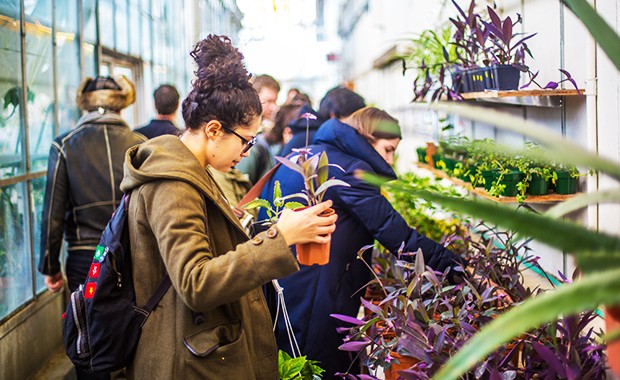 The Concordia Greenhouse is just one of the organizations that will be coming to this year's Engagement Fair.