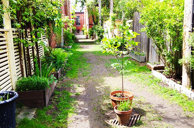 Introducing a green, grassy alleyway instead of asphalt between apartment buildings can cool off the immediate vicinity considerably.