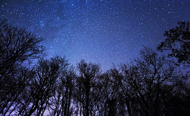 This is your chance to dance with the stars. Choreographies for Humans and Stars runs from Saturday March 21 to Sunday June 21. This is your chance to dance with the stars. Choreographies for Humans and Stars runs from Saturday March 21 to Sunday June 21.