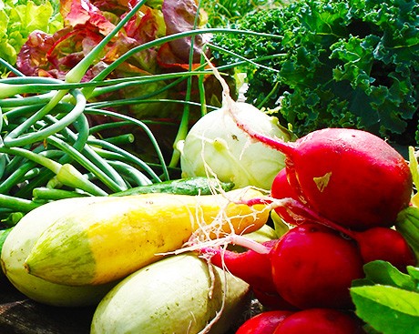 Get your weekly organic veggie fix