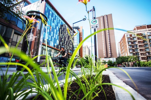 Come find out how you can make your daily actions more sustainable for Earth Day. Come find out how you can make your daily actions more sustainable for Earth Day.