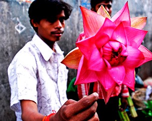 In search of a sustainable supply chain