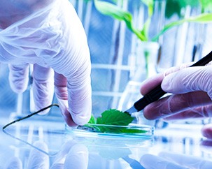 Concordia ranks among Canada’s top 25 research universities