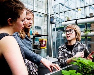 Are you a budding urban agriculturist? Join Concordia’s City Farm School