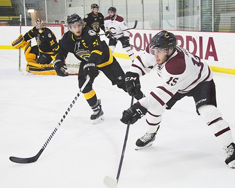 Take me out to the … hockey game! 