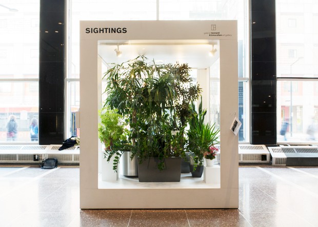 Catherine Lescarbeau, <em>Terrarium</em>, 2016. Installation view. | Photos by Catherine Lescarbeau Catherine Lescarbeau, <em>Terrarium</em>, 2016. Installation view. | Photos by Catherine Lescarbeau