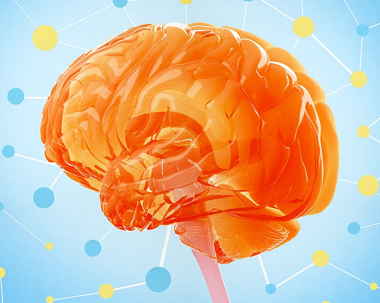 How does cardiovascular disease affect our brains?