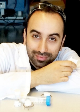 Ehsan Rezabeigi