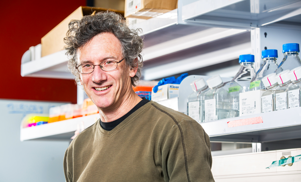 Malcolm Whiteway: “My research is aimed at helping to develop a new generation of anti-fungal drugs that have limited side effects.” | Photo by Concordia University Malcolm Whiteway: “My research is aimed at helping to develop a new generation of anti-fungal drugs that have limited side effects.” | Photo by Concordia University