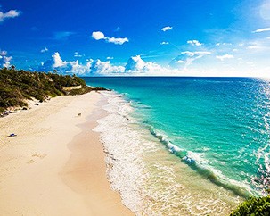 Calling all Concordia travellers