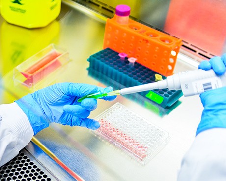 How do we build a greener future? One microbe at a time...