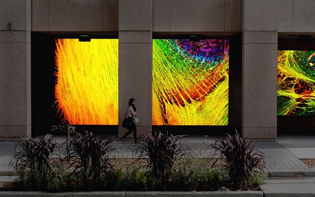Proposed usage of street-level windows for night projection. | Images by David K. Ross Proposed usage of street-level windows for night projection. | Images by David K. Ross