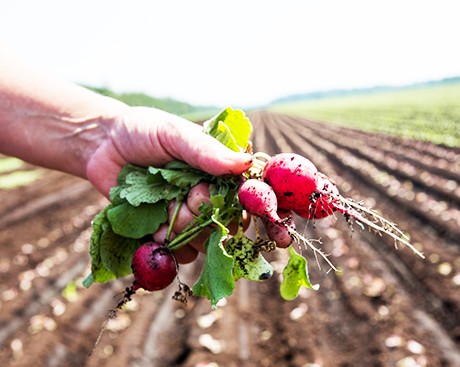 It just got easier to eat local on campus