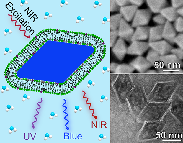 Design of the drug delivery system (left), and electron microscopy images of the nanoparticles and the nanoparticles with the membrane modification. 