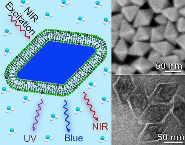 Design of the drug delivery system (left), and electron microscopy images of the nanoparticles and the nanoparticles with the membrane modification. Design of the drug delivery system (left), and electron microscopy images of the nanoparticles and the nanoparticles with the membrane modification.