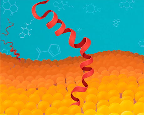 Two decades of grad research in chemistry and biochemistry