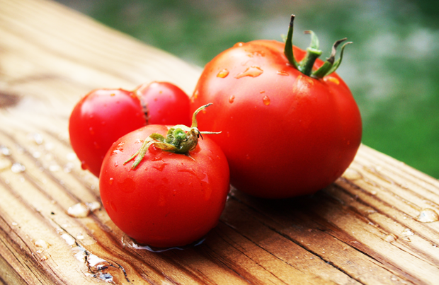 Grab some fresh food at the Concordia Farmers’ Market on the Sir George Williams Campus or the City Farm School on the Loyola Campus. | Photo by Jamie Caudill (Flickr Creative Commons)