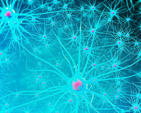 NEW PUBLICATION: How little-known cells tie into mental health