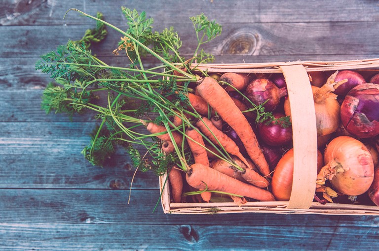 Liz Miller: “This has been one of my favourite classes to teach because food is universal.” | Photo by Markus Spiske, on Unsplash