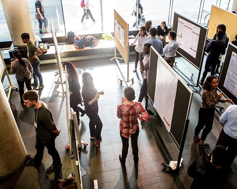 Undergraduate Research Showcase tackles climate change, marijuana habits and more