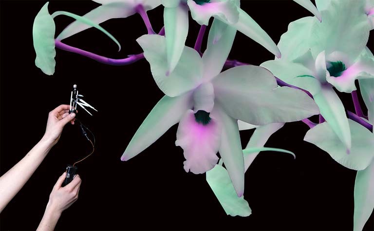 Théâtre de l’inconnu, 2019-2020 by Mara Eagle. 2-channel HD video & sound, 13 minutes. Théâtre de l’inconnu, 2019-2020 by Mara Eagle. 2-channel HD video & sound, 13 minutes.