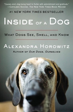 being a dog horowitz being a dog horowitz